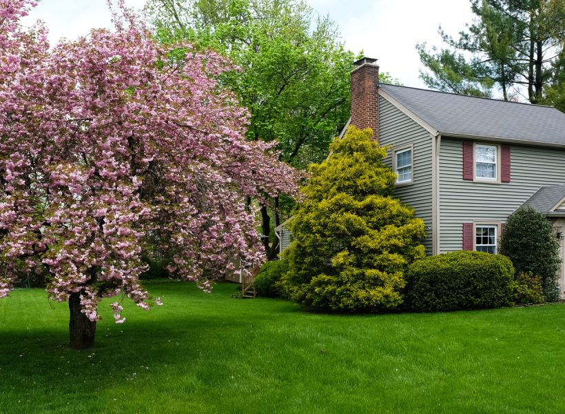 Wide,Green,Front,Lawn,In,Traditional,Suburban,Residential,Neighborhood.,Usa,